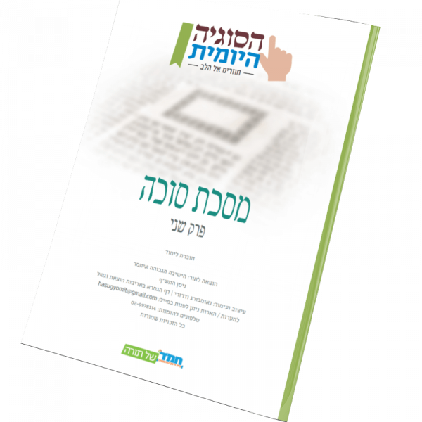 הדמייה חובורת copy